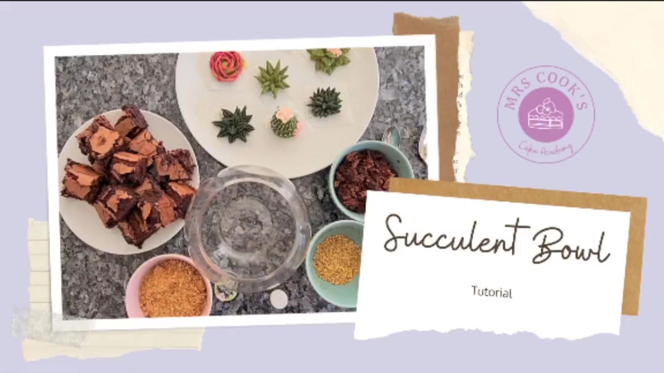 Succulent bowl tutorial